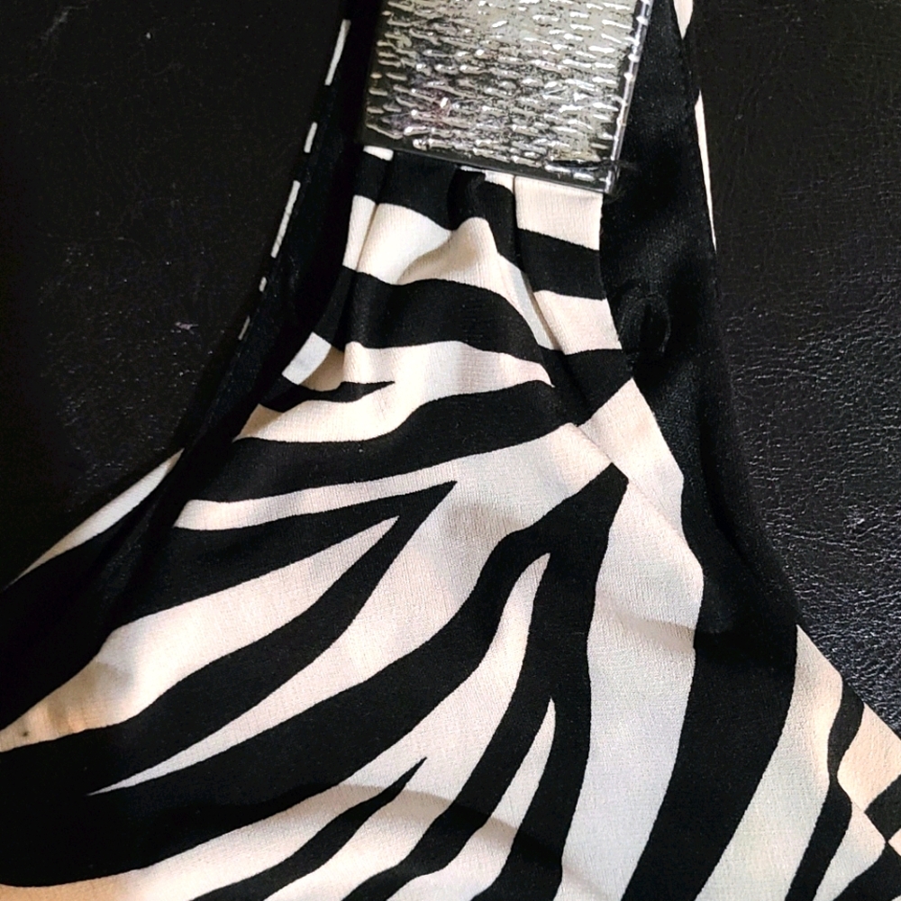 Zebra Print Dress - Picture 2 of 2